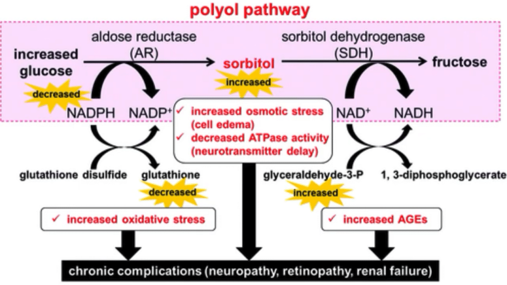 A diagram on how sugar affect nerve damage