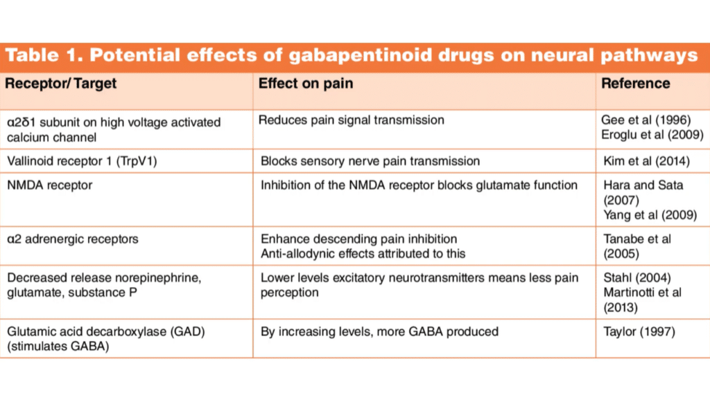 A table on potential effects of gabapentinoid drugs on neural pathways